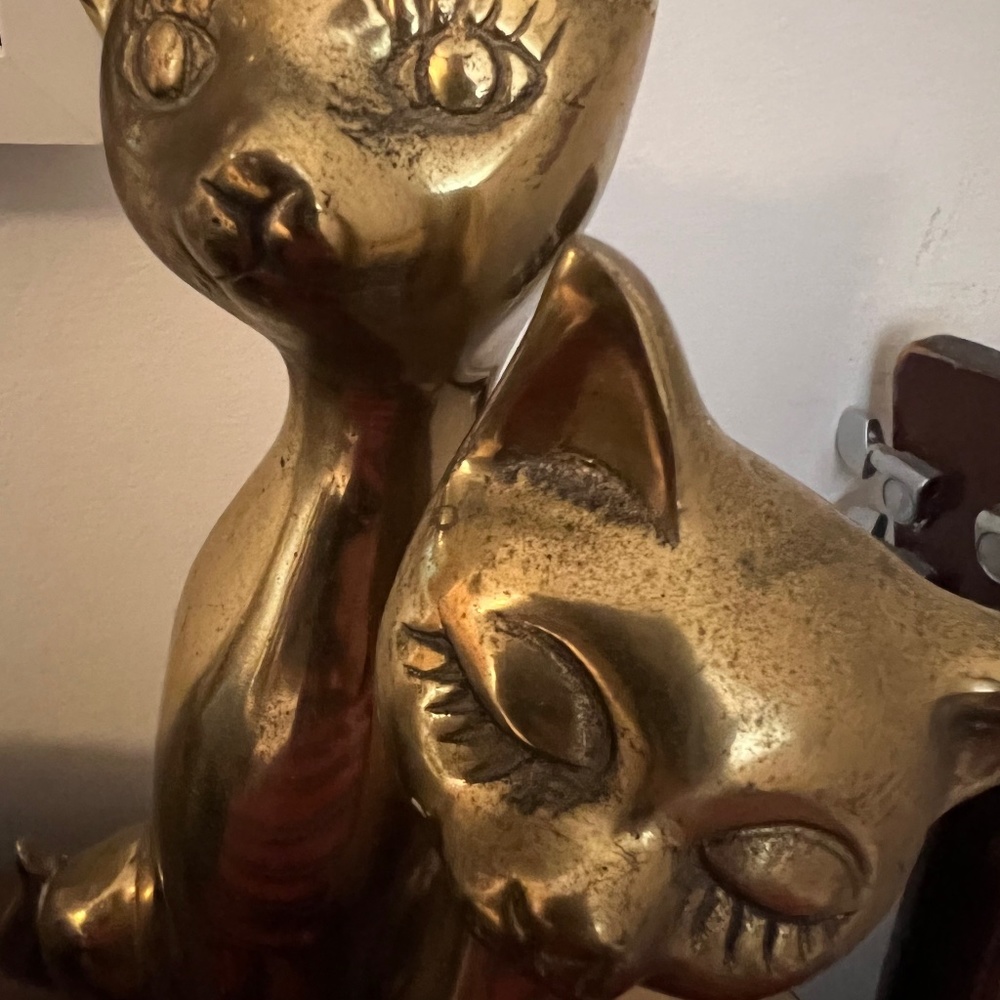 Meet your Posher, Springcleanmeow